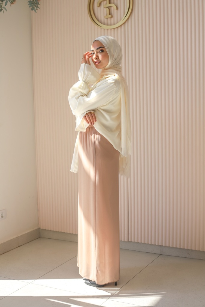 Tan Aura Chiffon Pants 