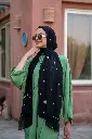 Galaxy Veil