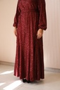 Maroon Bling Bling Dress