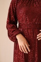 Maroon Bling Bling Dress