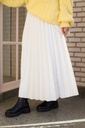 Fall Skirt
