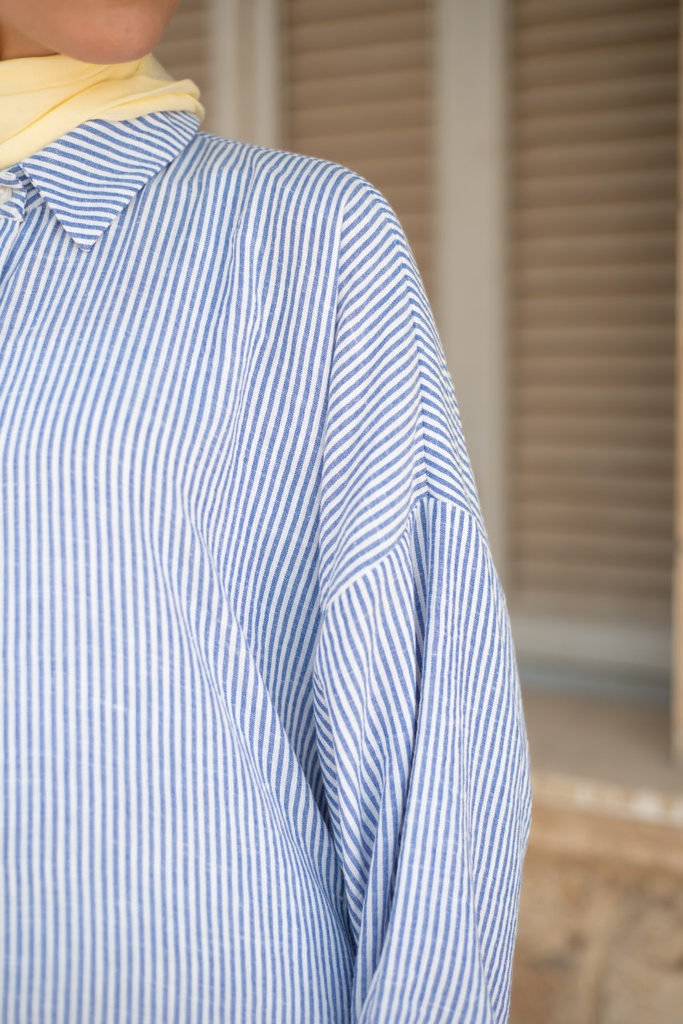 Blue Stripea Shirt 