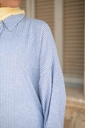 Blue Stripea Shirt 
