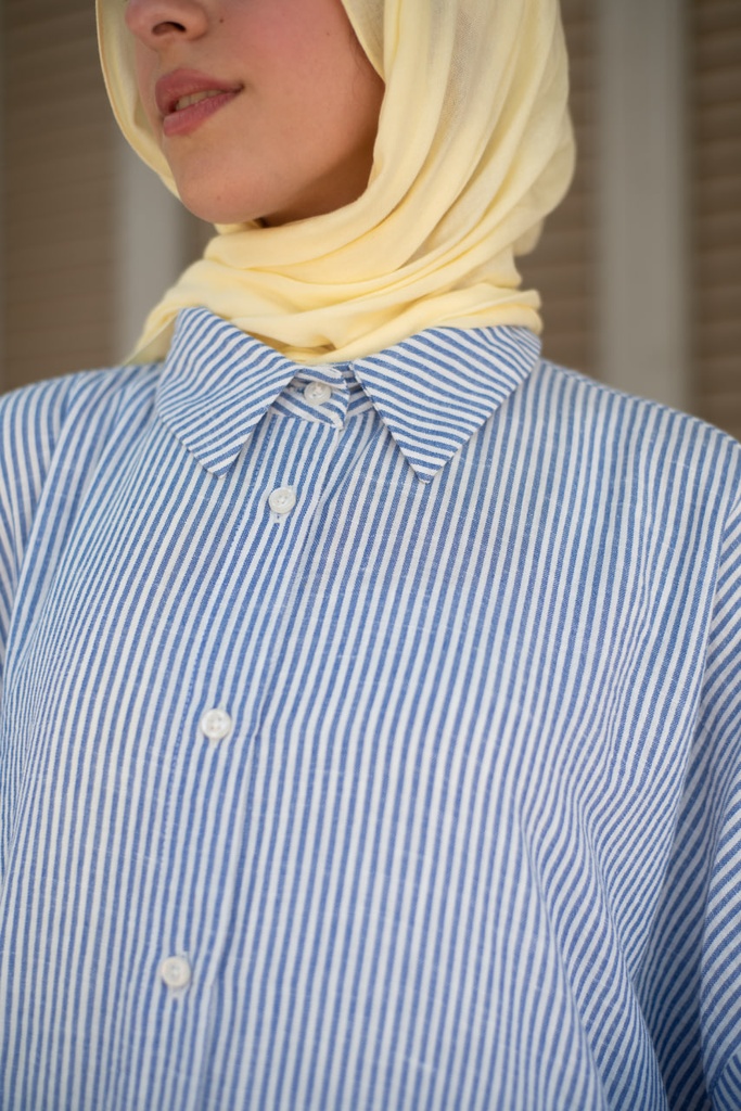Blue Stripea Shirt 