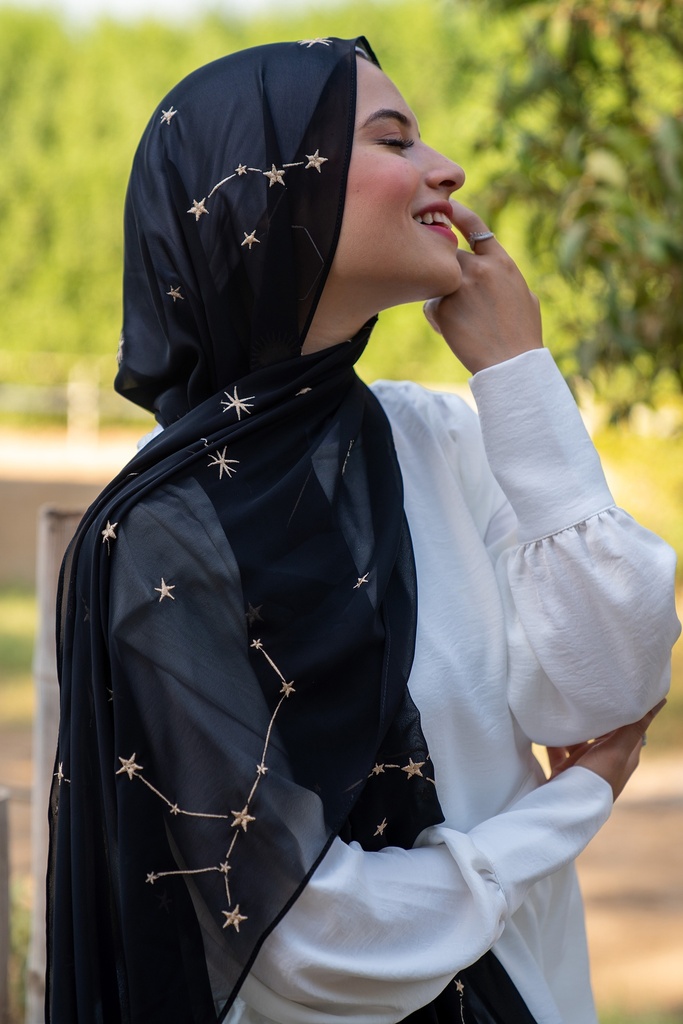 Galaxy Veil
