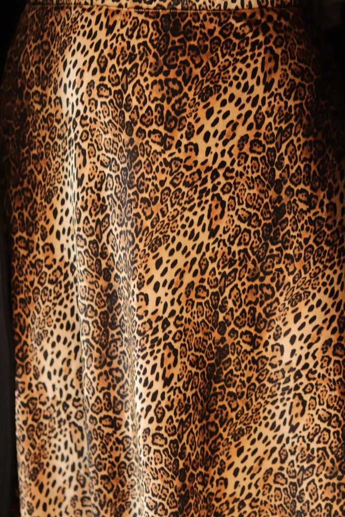 Cheetah Skirt