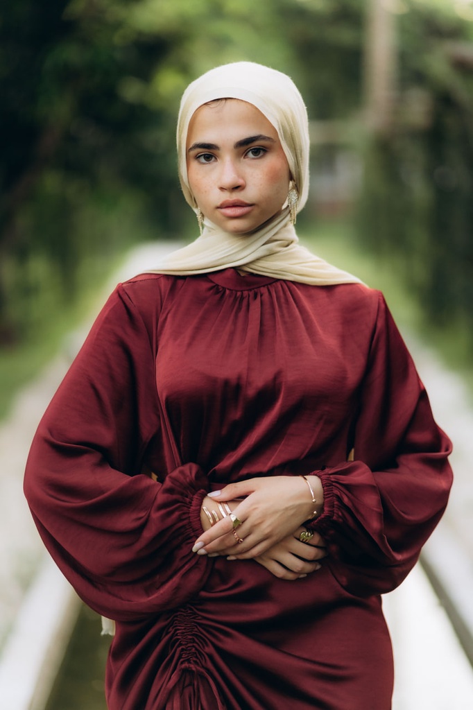 Maroon Mural Dress