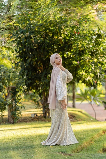 Champagne Bling Bling Dress