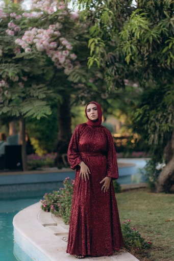 Maroon Bling Bling Dress