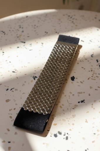 Silver Fish Scale Belt